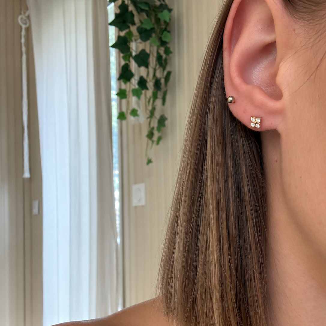 Boucle d'oreille Rosa